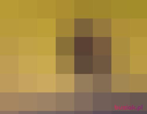 edisuper, Male, 43 years, Konstantynów Łódzki