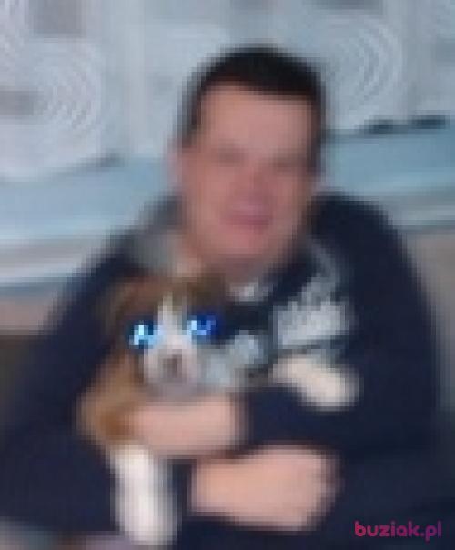Sylwester33, Male, 42 years, Tomaszów Mazowiecki