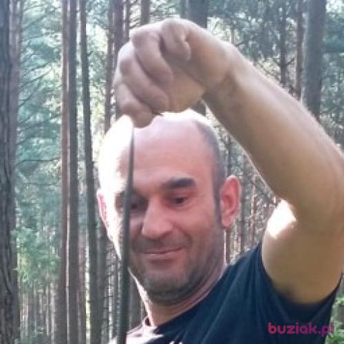 hbr, Male, 44 years, Opoczno