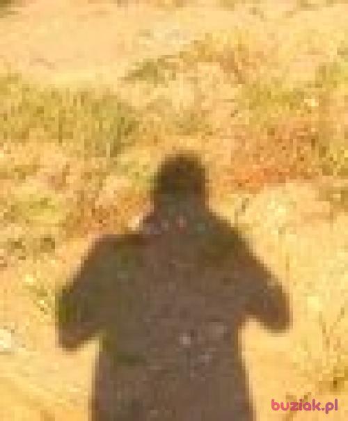 armagedon28, Male, 41 years, Morąg
