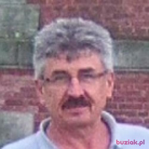 Ryczard, Male, 64 years, Puławy