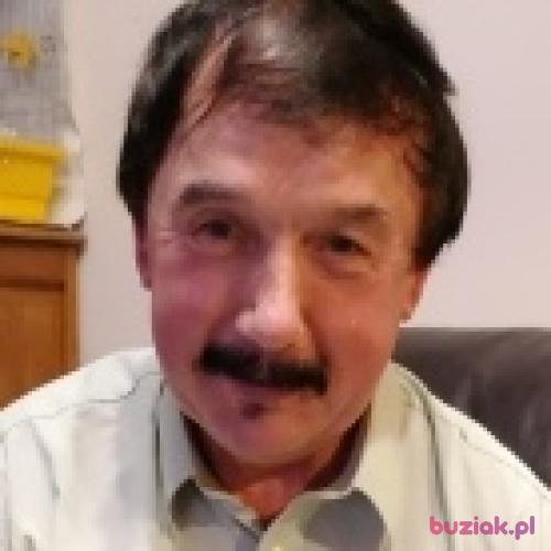 Kzdzislaw56, Male, 69 years, Kraków