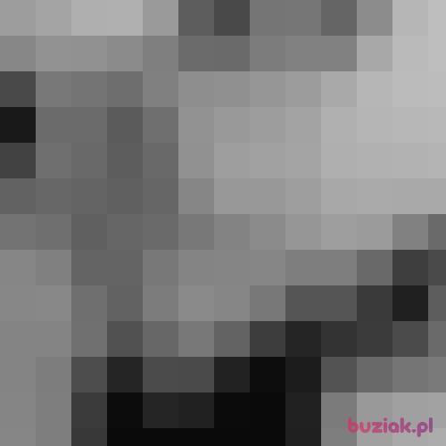 Boski988, Mężczyzna, 28 lat, Słupsk