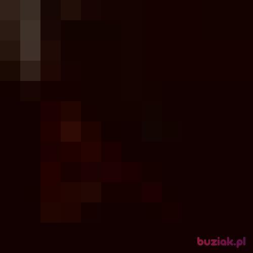Werkaaa121211, Kobieta, 26 lat, Nürnberg