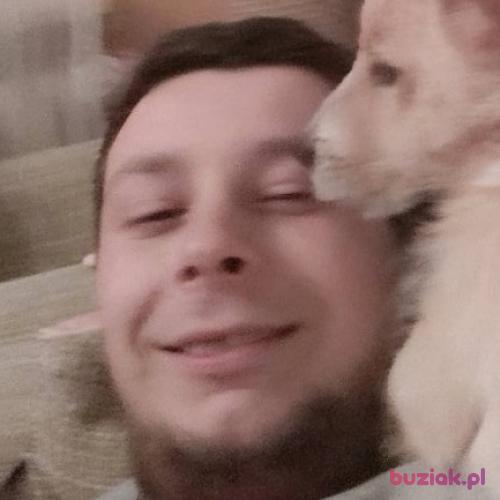 MrDomino, Mężczyzna, 31 lat, Bielsko-Biała