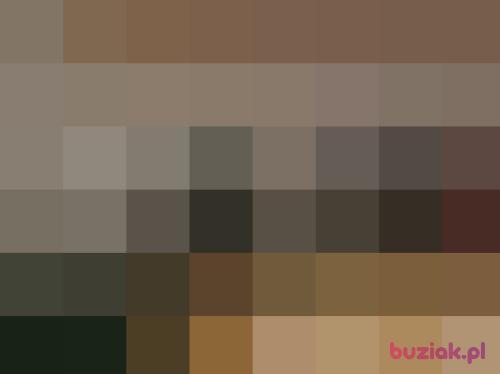 Adi6000, Male, 42 years, Katowice