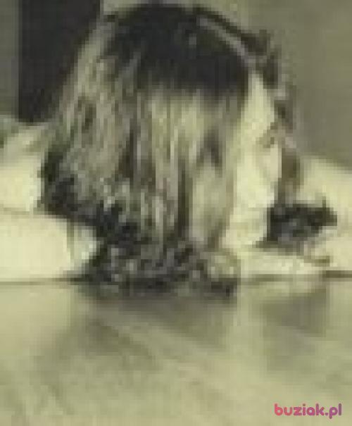 perelkalenka, Female, 31 years, Lublin