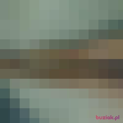 BOHU, Male, 51 years, Wrocław