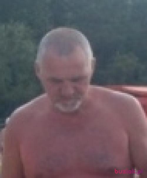 liseklisek, Mężczyzna, 69 lat, Bydgoszcz