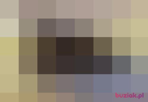 BratekKwiatek, Female, 55 years, Kraków