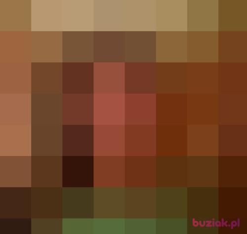 lukasz2772, Mężczyzna, 41 lat, Włocławek