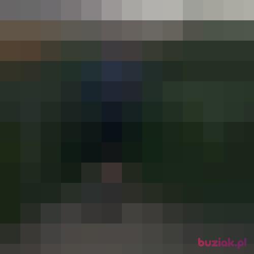 dzielnyBistro, Male, 53 years, Kowary