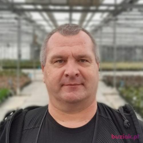smialyRoman3, Mężczyzna, 53 lata, Rotterdam