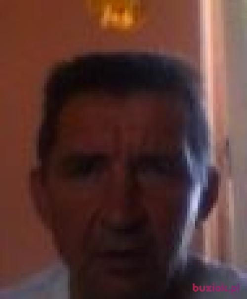 mnich52, Male, 65 years, Szczecin