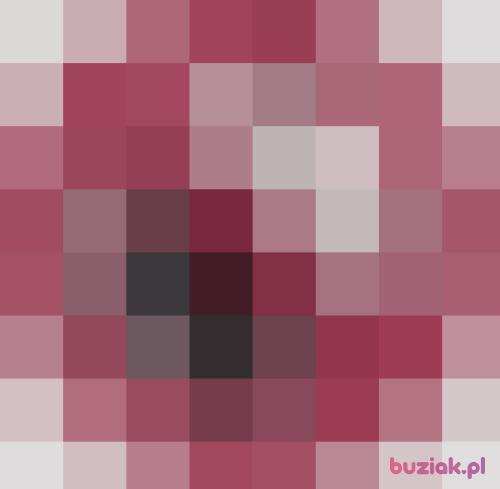 Bogus83, Male, 43 years, Ząbkowice Śląskie