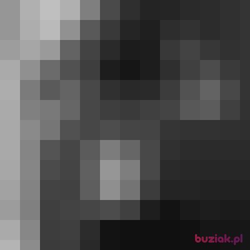 Sqn2, Male, 34 years, Amersfoort