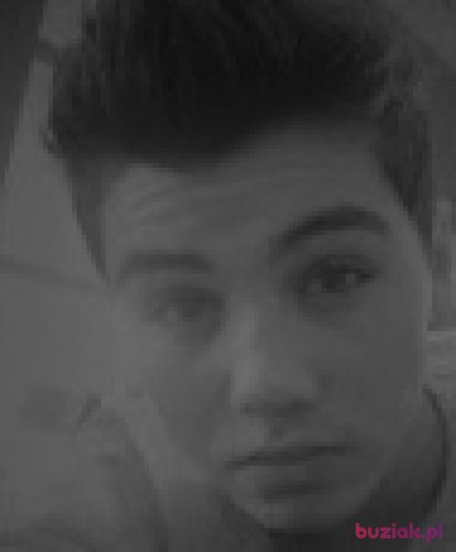 krecikxd, Male, 25 years, Zabrze