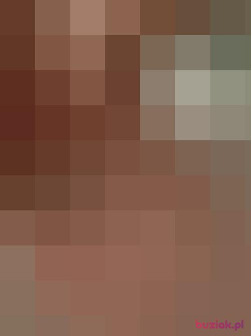 Foxhond, Male, 31 years, Lublin