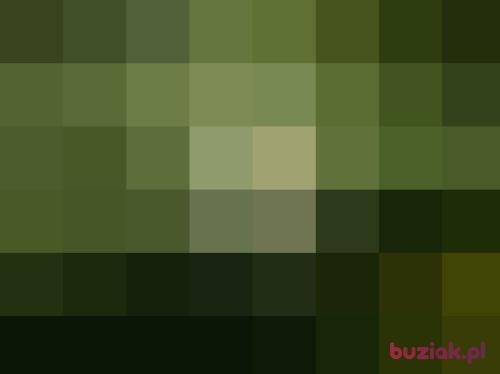 zygmunt53, Male, 73 years, Legnica