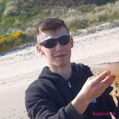 Fajt5, Male, 24 years, Chełm