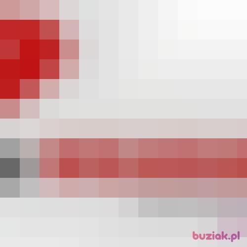 bugaj, Male, 62 years, Düsseldorf