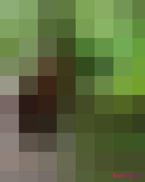 Dammac, Male, 43 years, Lubraniec