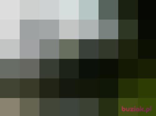 buziaczekvip, Male, 41 years, Puławy