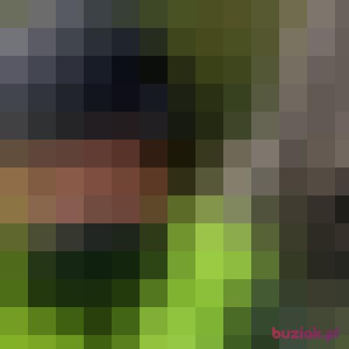 Argol, Male, 41 years, Wieliczka
