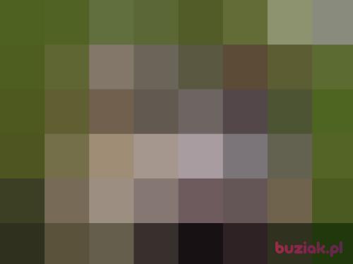 dlaciebie77, Male, 49 years, Kraków