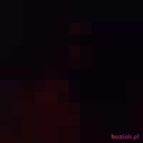 areczek69, Male, 57 years, Łódź