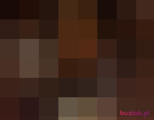 yokoloko, Male, 35 years, Lublin