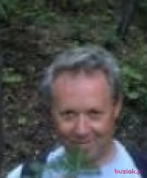 Piotr0716, Male, 79 years, Grybów