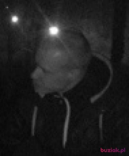 PsssZapomnij, Male, 33 years, Szczecin