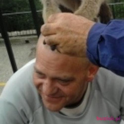 Leszek2407, Male, 55 years, Świebodzin
