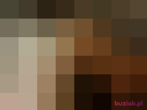 zenon85, Male, 41 years, Jarocin