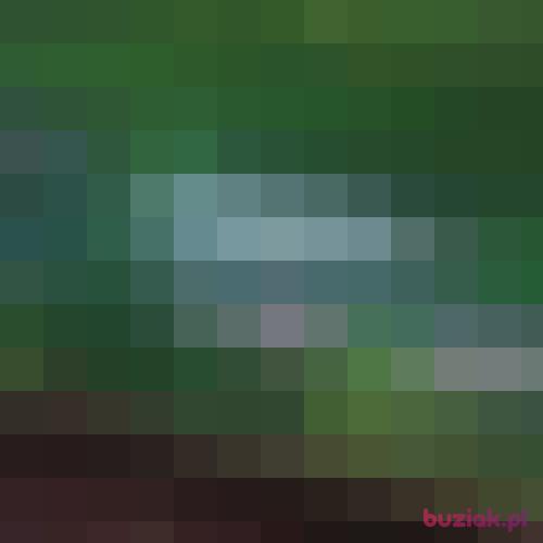 bassproject, Male, 34 years, Szczecin