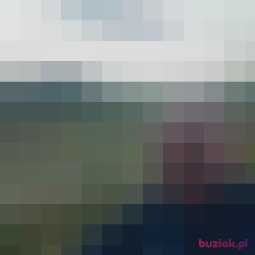 pollux1, Male, 64 years, Zgorzelec