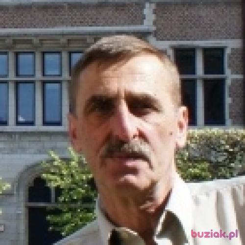Piotr909, Male, 64 years, Lubartów