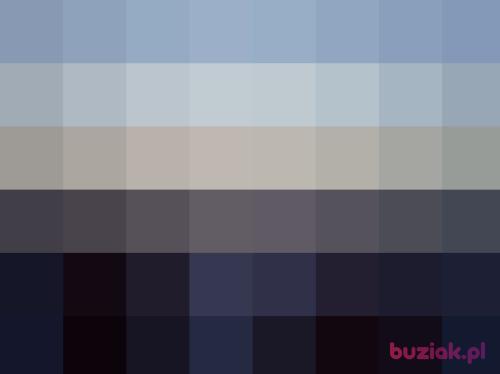 kominiarzpl, Male, 42 years, Rybnik