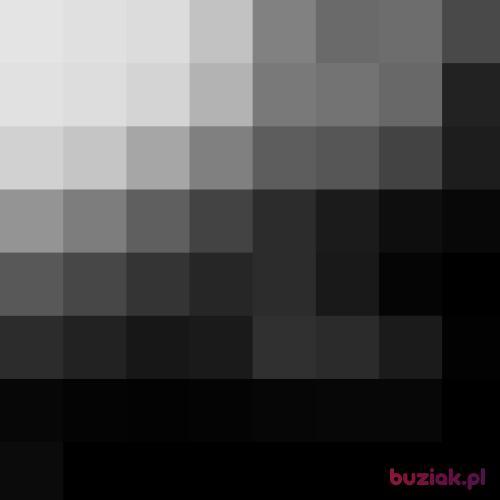 adekkk69, Male, 26 years, Grudziądz