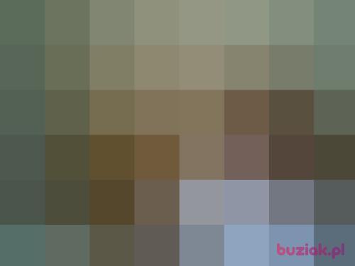 Max444x, Male, 66 years, Szczecin