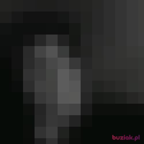 Stifleralfons, Male, 21 years, Rzeszów