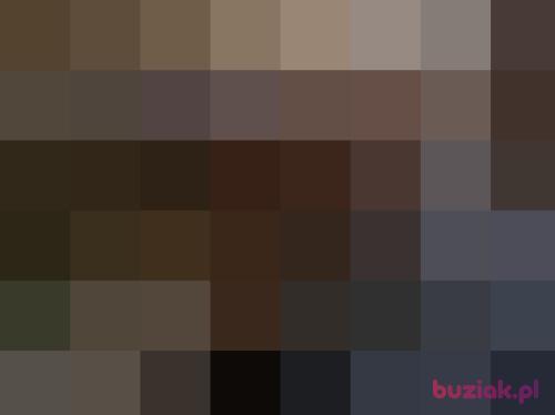 Zordon21, Male, 37 years, Olsztyn