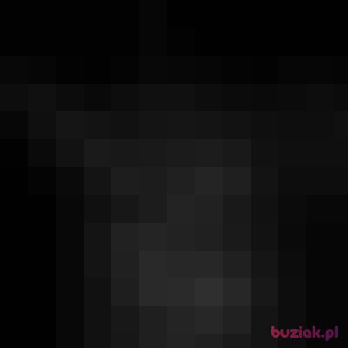 PewienPanzb, Male, 34 years, Kartuzy