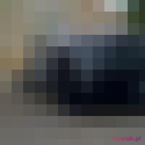 dax19, Male, 40 years, Szczecin