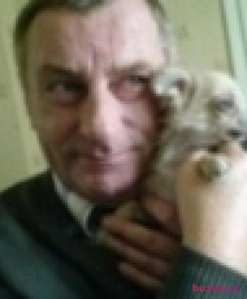rychumc60, Male, 73 years, Wrocław