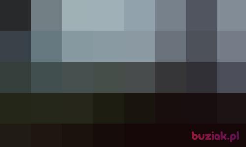 raff122, Male, 45 years, Żywiec