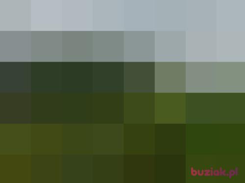 6493, Male, 43 years, Szczecin