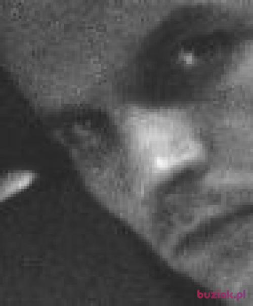 pawelfel, Male, 43 years, Poznań