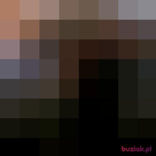 dawidkier, Male, 40 years, Szczecin